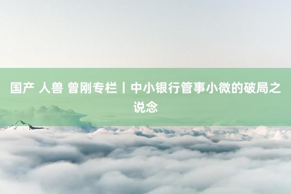 国产 人兽 曾刚专栏丨中小银行管事小微的破局之说念