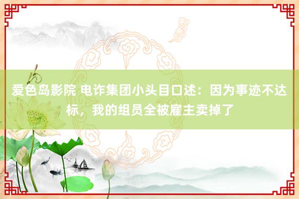 爱色岛影院 电诈集团小头目口述：因为事迹不达标，我的组员全被雇主卖掉了