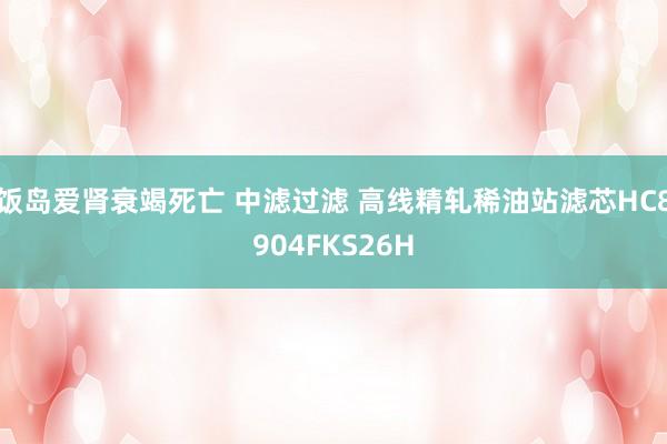 饭岛爱肾衰竭死亡 中滤过滤 高线精轧稀油站滤芯HC8904FKS26H