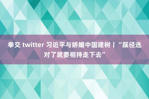 拳交 twitter 习近平与娇媚中国建树丨“蹊径选对了就要相持走下去”