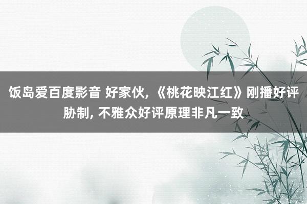 饭岛爱百度影音 好家伙, 《桃花映江红》刚播好评胁制, 不雅众好评原理非凡一致